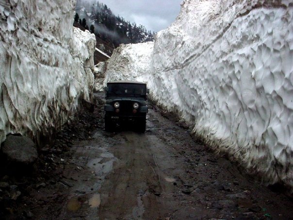 1934833_307382855330_6800308_n