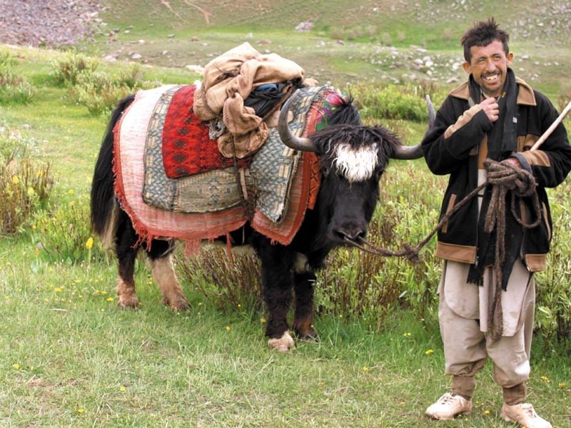 452803-gilgitpeople-1350480363