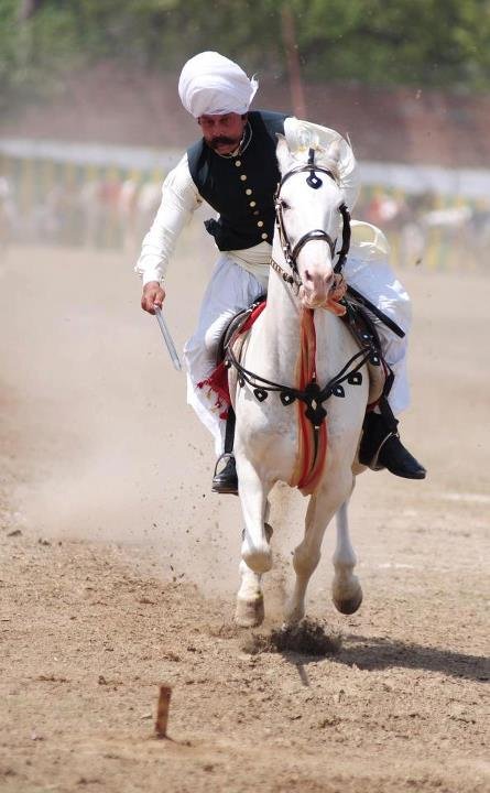 Malik_Ata_at_Horse_and_Cattle_Show_Lahore