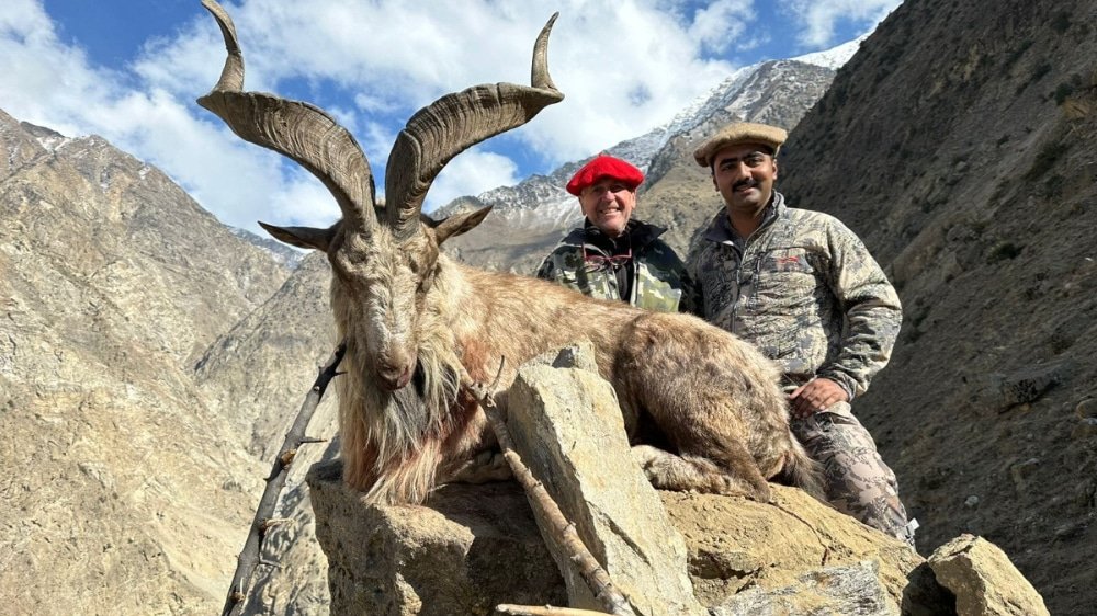 markhor-hunting
