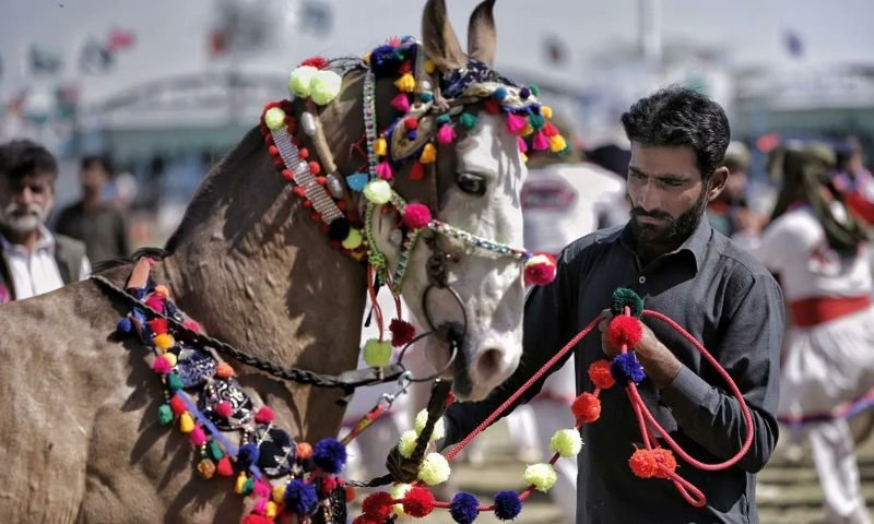 xr:d:DAF9-_OOENY:36,j:4962260908147979951,t:24022717